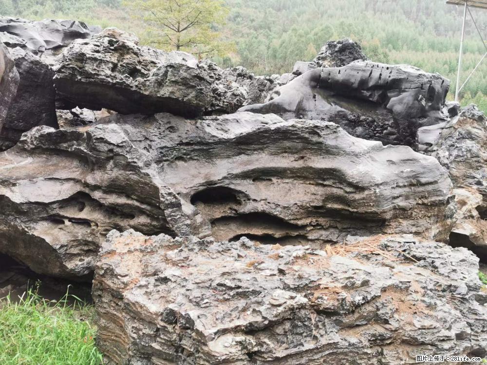 风景石、假山石大量有货，有需要的欢迎联系 - 新手上路 - 扬州生活社区 - 扬州28生活网 yz.28life.net