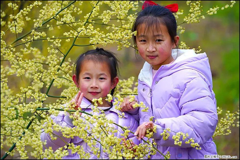 【春天，广西桂林灌阳县向您发出邀请！】米珠山前有片山苍子花在飘香 - 游山玩水 - 扬州生活社区 - 扬州28生活网 yz.28life.net