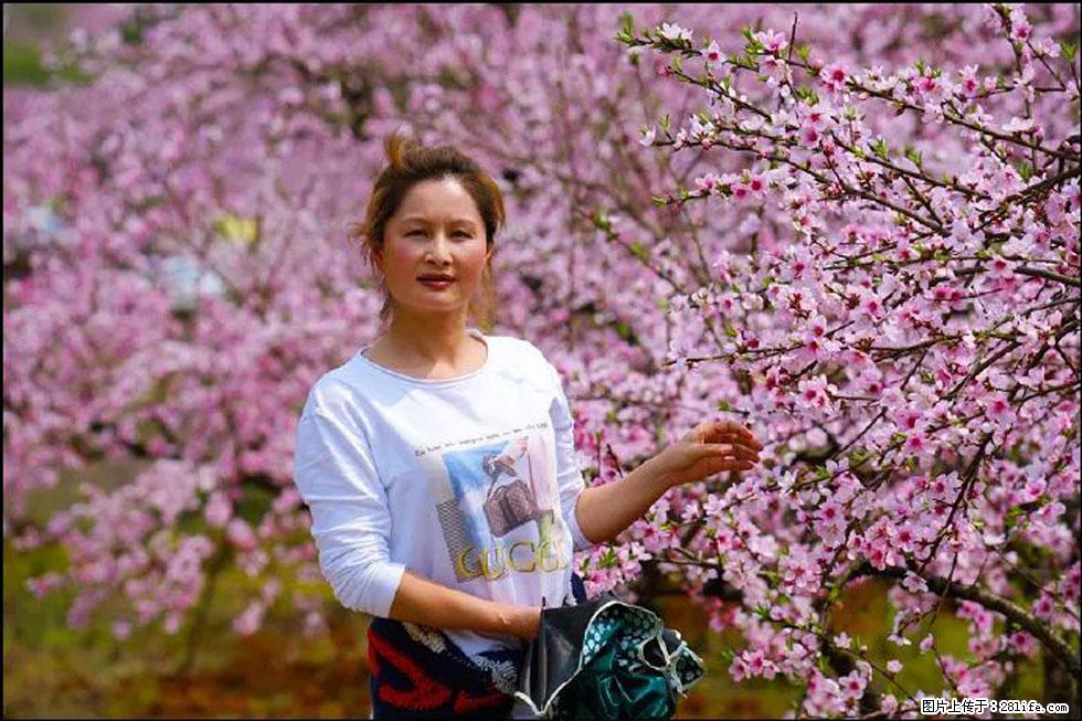 【春天，广西桂林灌阳县向您发出邀请！】官庄村有个醉美的桃花园 - 游山玩水 - 扬州生活社区 - 扬州28生活网 yz.28life.net