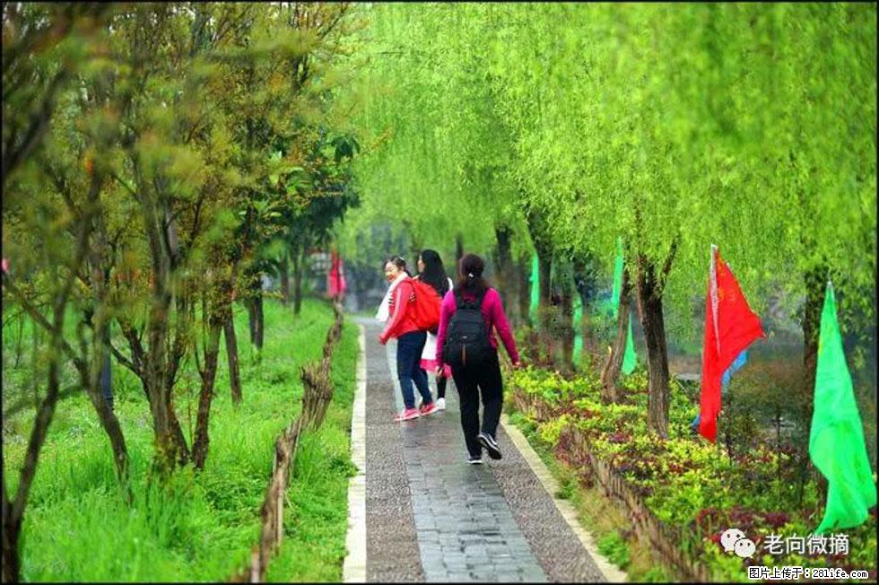 【春天，广西桂林灌阳县向您发出邀请！】江口老街又逢春 - 游山玩水 - 扬州生活社区 - 扬州28生活网 yz.28life.net
