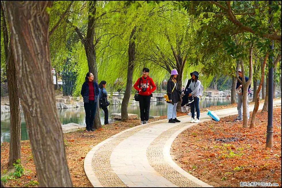 【春天，广西桂林灌阳县向您发出邀请！】江口老街又逢春 - 游山玩水 - 扬州生活社区 - 扬州28生活网 yz.28life.net