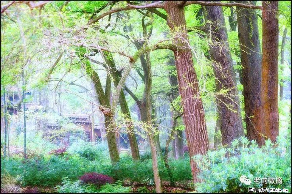 【春天，广西桂林灌阳县向您发出邀请！】在小龙村与春天约会 - 游山玩水 - 扬州生活社区 - 扬州28生活网 yz.28life.net