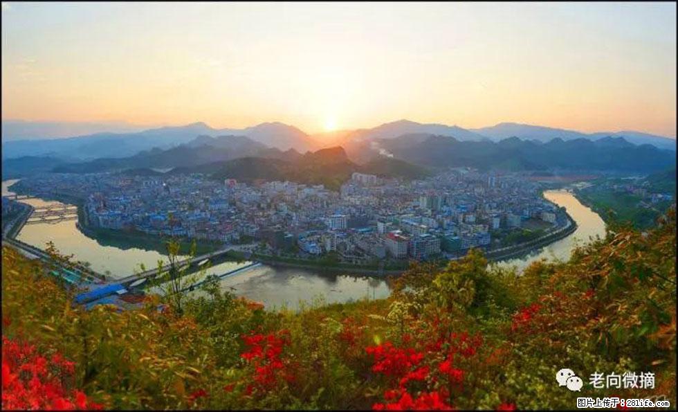 【春天，广西桂林灌阳县向您发出邀请！】登麒麟山，相约映山红 - 游山玩水 - 扬州生活社区 - 扬州28生活网 yz.28life.net