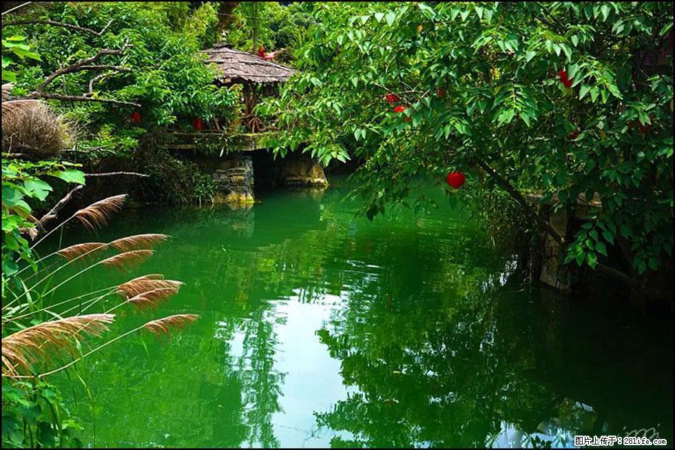【春天，广西桂林灌阳县向您发出邀请！】如梦似幻莲溪庐 - 游山玩水 - 扬州生活社区 - 扬州28生活网 yz.28life.net
