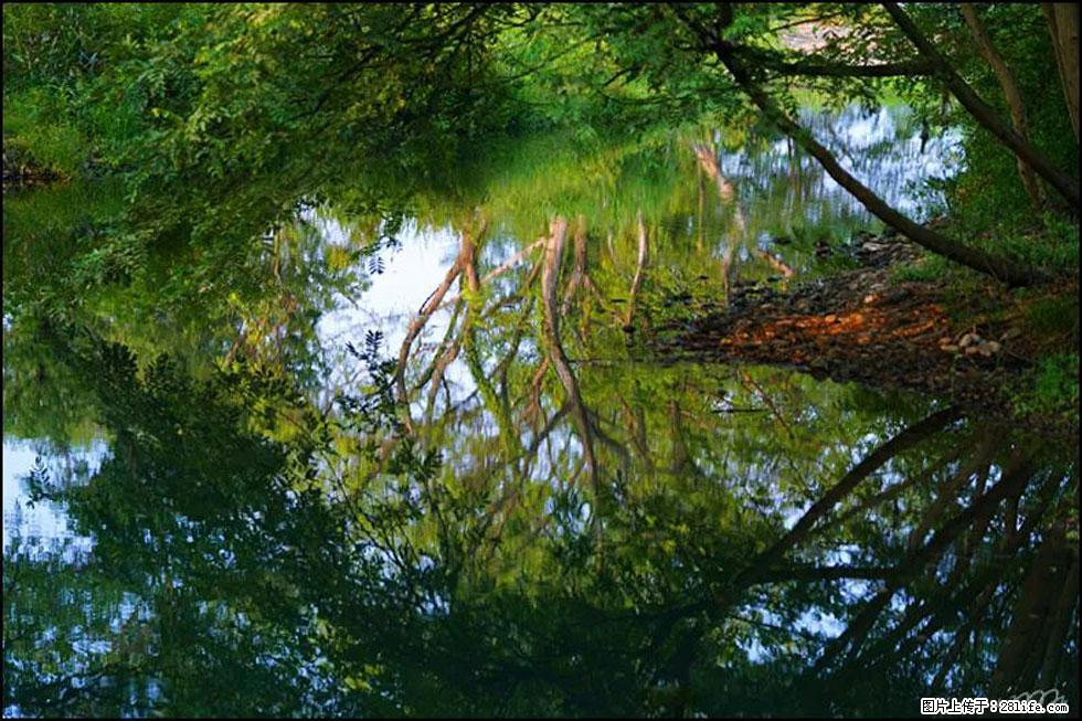 【春天，广西桂林灌阳县向您发出邀请！】熊家寨湿地公园 - 游山玩水 - 扬州生活社区 - 扬州28生活网 yz.28life.net