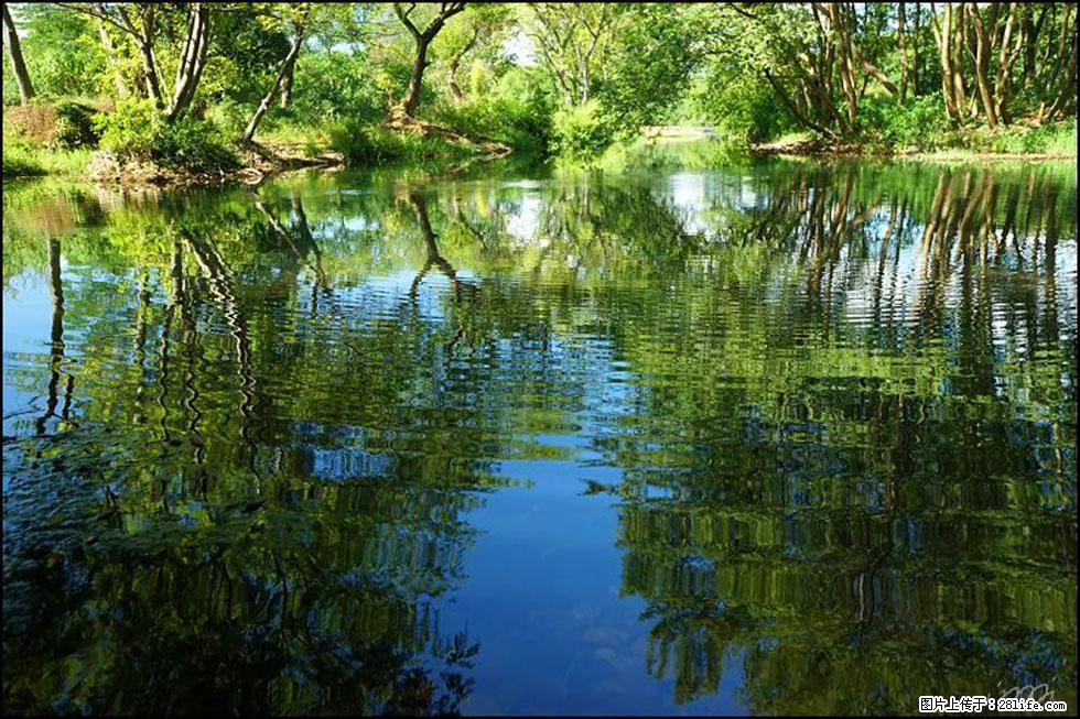 【春天，广西桂林灌阳县向您发出邀请！】熊家寨湿地公园 - 游山玩水 - 扬州生活社区 - 扬州28生活网 yz.28life.net