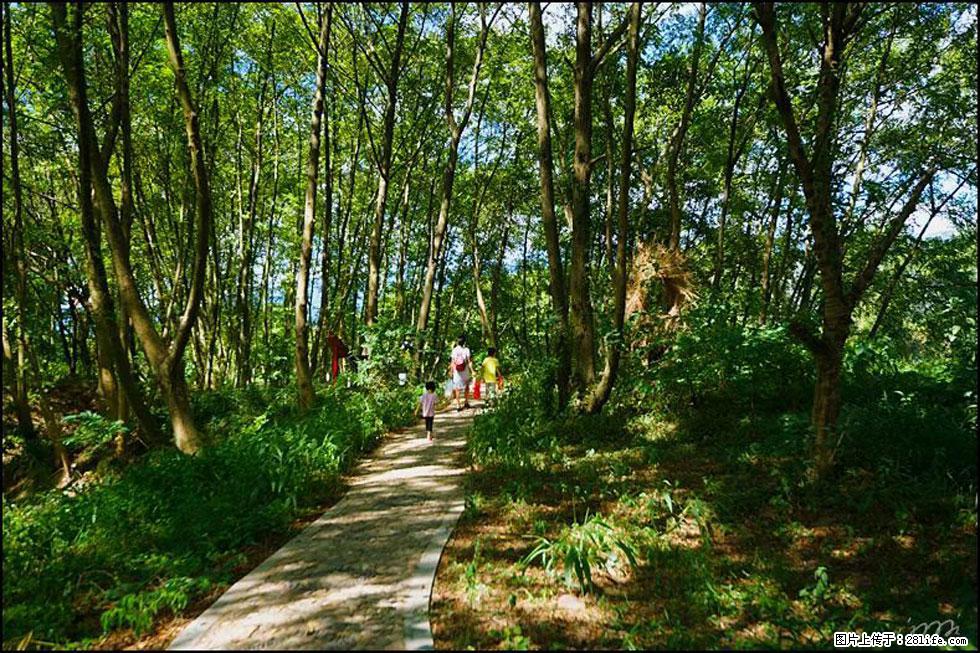 【春天，广西桂林灌阳县向您发出邀请！】熊家寨湿地公园 - 游山玩水 - 扬州生活社区 - 扬州28生活网 yz.28life.net