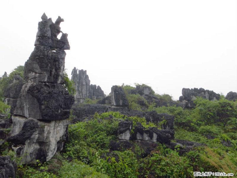 桂林旅游名城景点：灌阳文市石林 - 游山玩水 - 扬州生活社区 - 扬州28生活网 yz.28life.net