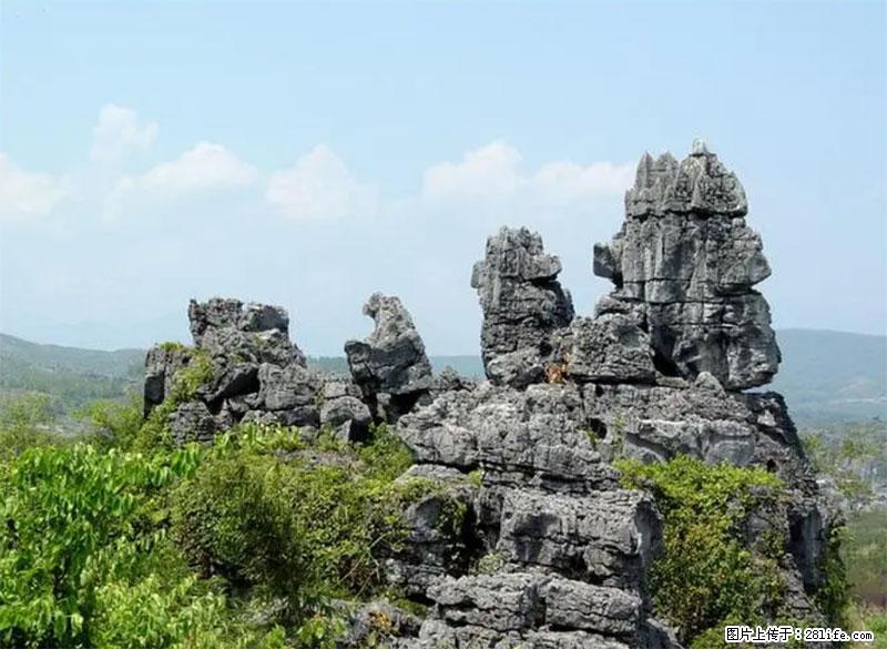 桂林旅游名城景点：灌阳文市石林 - 游山玩水 - 扬州生活社区 - 扬州28生活网 yz.28life.net