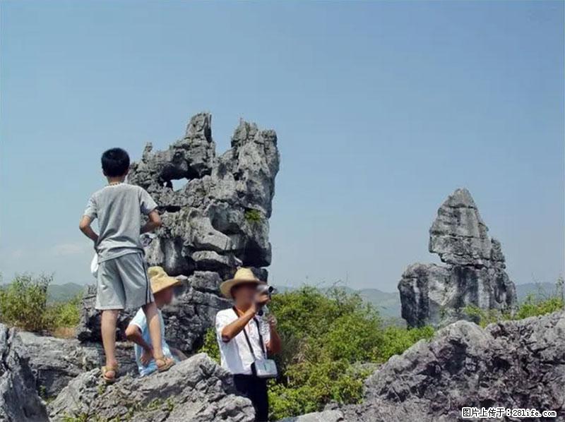 桂林旅游名城景点：灌阳文市石林 - 游山玩水 - 扬州生活社区 - 扬州28生活网 yz.28life.net