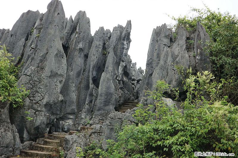 桂林旅游名城景点：灌阳文市石林 - 游山玩水 - 扬州生活社区 - 扬州28生活网 yz.28life.net