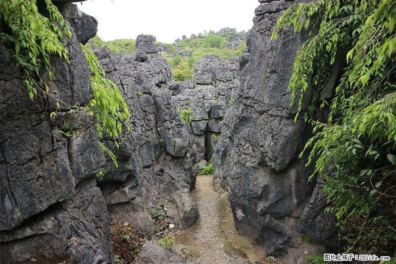 桂林旅游名城景点：灌阳文市石林 - 游山玩水 - 扬州生活社区 - 扬州28生活网 yz.28life.net
