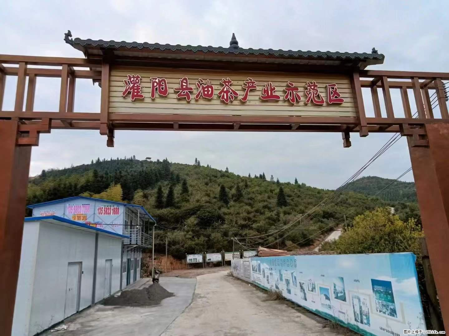 【灌阳县油茶产业示范区】一个有着充实的精神生活的人，对待身外之物自会有一种淡泊的态度 - 美食天地 - 扬州生活社区 - 扬州28生活网 yz.28life.net