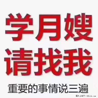 为什么要学习月嫂，育婴师？ - 扬州28生活网 yz.28life.net