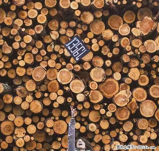 辞掉工作周游世界？现在他们在洗厕所…… - 游山玩水 - 扬州生活社区 - 扬州28生活网 yz.28life.net