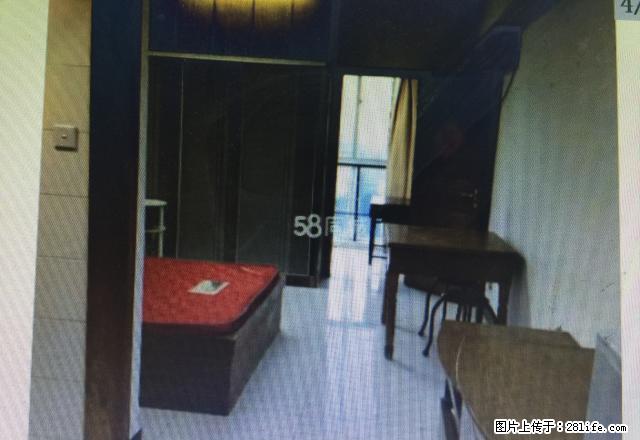 清华园 精装公寓 温馨舒适 提包入住 靠 新港名城 美琪 - 房屋出租 - 房屋租售 - 扬州分类信息 - 扬州28生活网 yz.28life.net