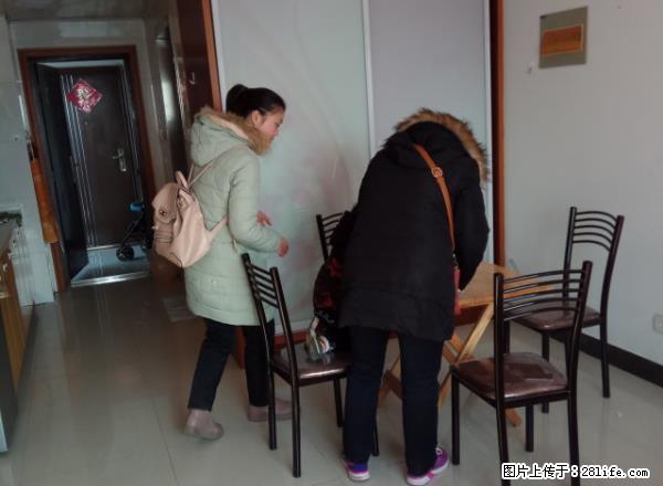 上林苑 精装公寓 看房方便 拎包入住 万达广场 京华城附近 - 房屋出租 - 房屋租售 - 扬州分类信息 - 扬州28生活网 yz.28life.net