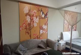 环球金融城，文昌中路，精装一房，拎包入住，周边设施齐全 - 扬州28生活网 yz.28life.net