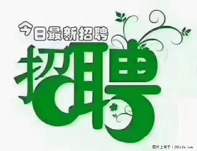 【招聘摄像师】待遇：试用期6000元/月，转正7000元/月+五险一金+餐补+节日福利+奖金 - 职场交流 - 扬州生活社区 - 扬州28生活网 yz.28life.net