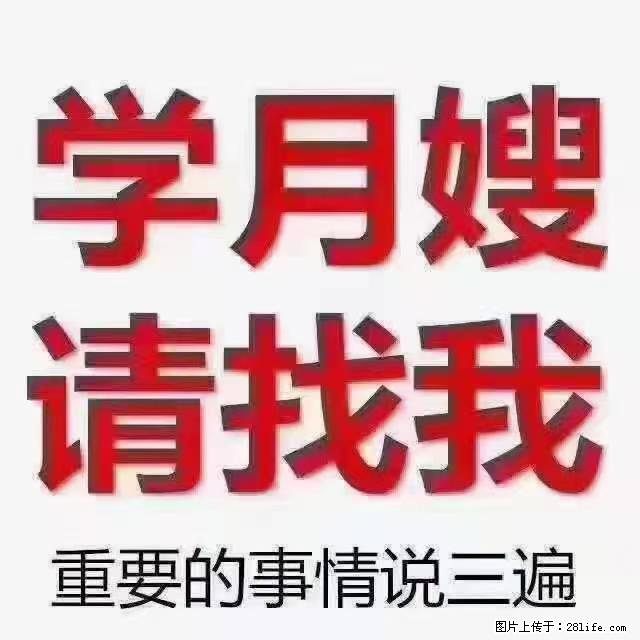 【招聘】月嫂，上海徐汇区 - 职场交流 - 扬州生活社区 - 扬州28生活网 yz.28life.net