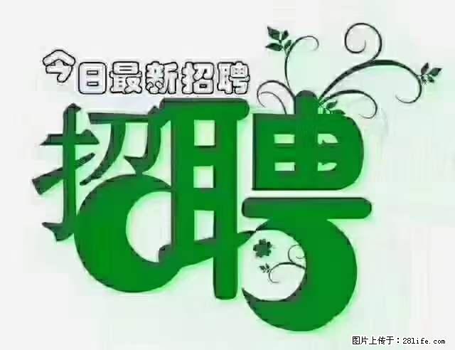 上海青浦区招仓管 - 职场交流 - 扬州生活社区 - 扬州28生活网 yz.28life.net