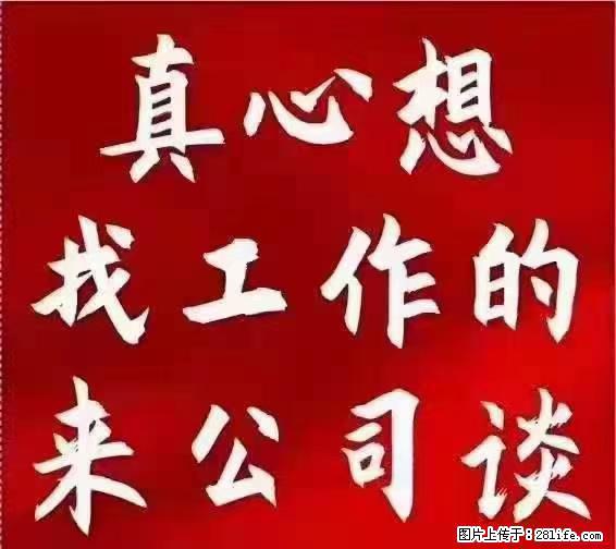 【上海】国企，医院招两名男保安，55岁以下，身高1.7米以上，无犯罪记录不良嗜好 - 职场交流 - 扬州生活社区 - 扬州28生活网 yz.28life.net