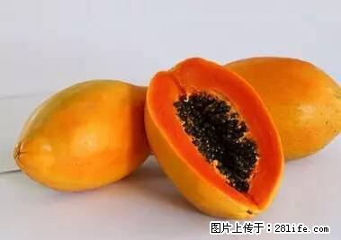 晕车、脚气、牙齿变黄、皮肤粗糙？学会这些三分钟搞定！ - 扬州生活资讯 - 扬州28生活网 yz.28life.net