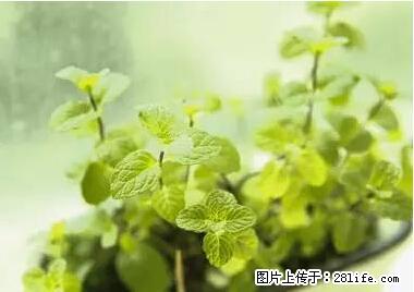 晕车、脚气、牙齿变黄、皮肤粗糙？学会这些三分钟搞定！ - 扬州生活资讯 - 扬州28生活网 yz.28life.net