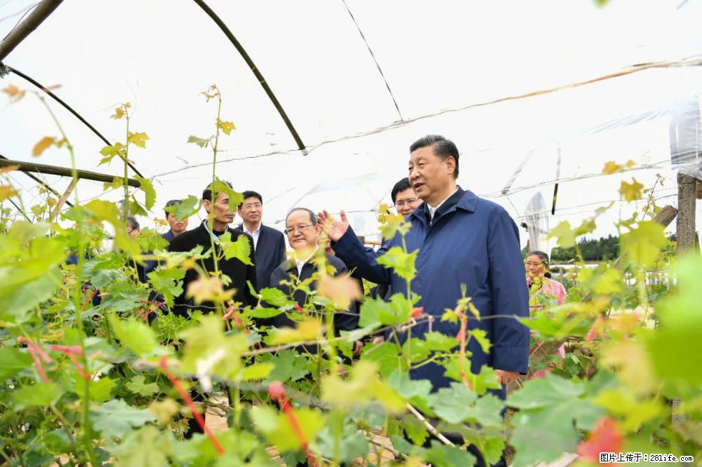 习近平赴广西考察调研 - 扬州生活资讯 - 扬州28生活网 yz.28life.net