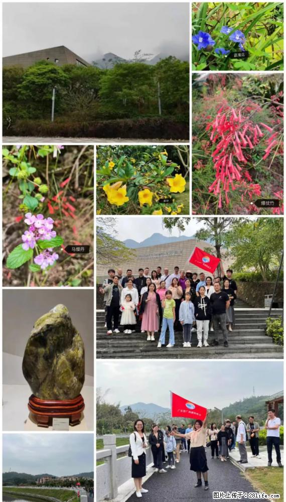 “粤灌文化 美好生活”油茶文化主题活动在广东深圳成功举办 - 扬州生活资讯 - 扬州28生活网 yz.28life.net