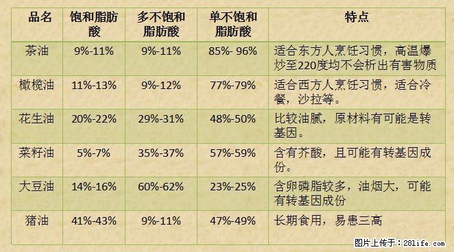 揭秘茶油的5大核心营养成分！被称为人体健康的“守护盾”！ - 扬州生活资讯 - 扬州28生活网 yz.28life.net