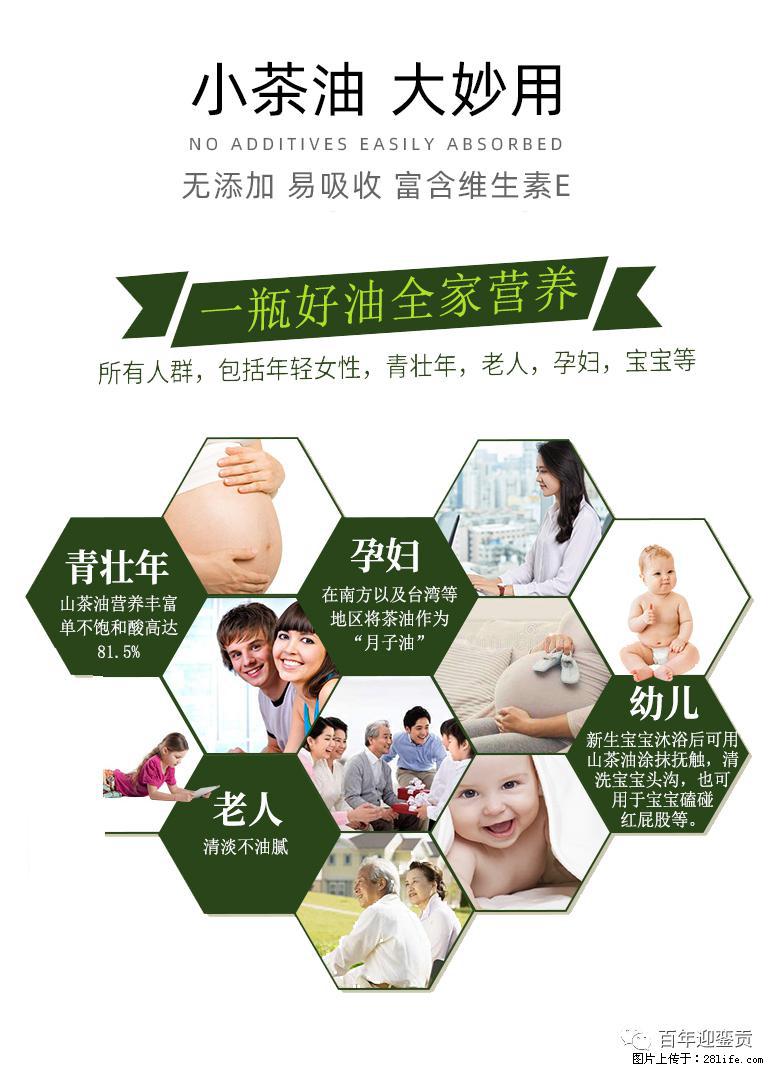 世界没有真相，只有认知，最好的食用油是中国的山茶油！ - 扬州生活资讯 - 扬州28生活网 yz.28life.net