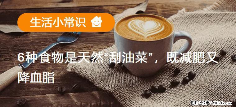 【生活小常识】6种食物是天然“刮油菜”，既减肥又降血脂 - 扬州生活资讯 - 扬州28生活网 yz.28life.net