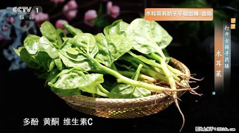 比牛奶补钙还厉害！凉血解毒、稳血糖...这菜冬天必吃，很多人却当草 - 扬州生活资讯 - 扬州28生活网 yz.28life.net