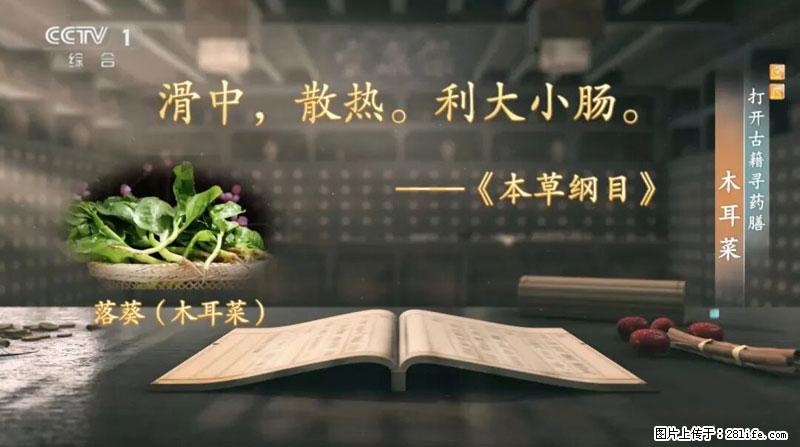 比牛奶补钙还厉害！凉血解毒、稳血糖...这菜冬天必吃，很多人却当草 - 扬州生活资讯 - 扬州28生活网 yz.28life.net