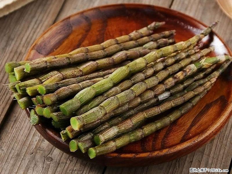 铁皮石斛的作用与功能主治 - 扬州生活资讯 - 扬州28生活网 yz.28life.net